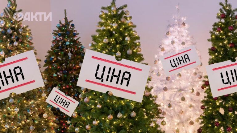 за скільки можна придбати новорічну ялинку у 2025 році,