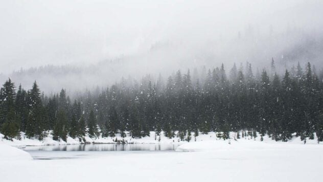 свято 7 грудня 2025