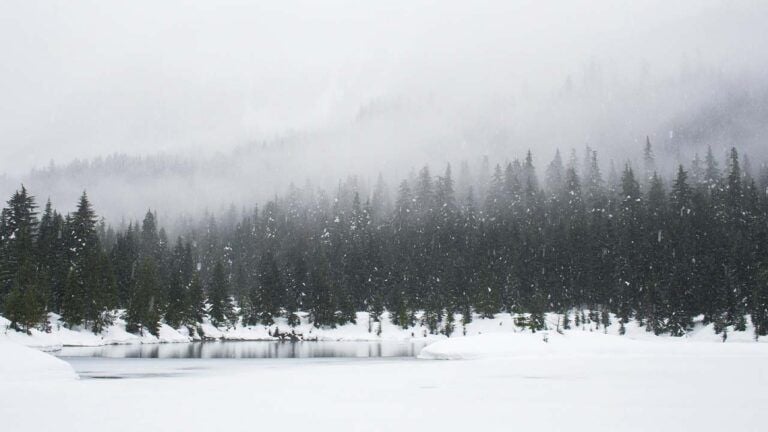 свято 7 грудня 2025