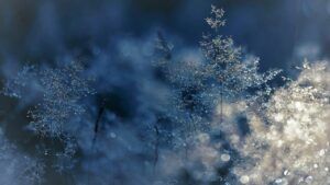 Яке свято 6 грудня 2025