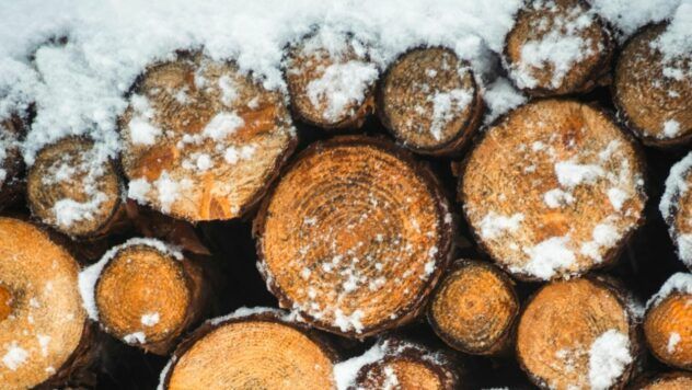 яке свято 8 грудня 2025