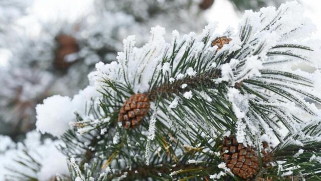 погода на січень 2026