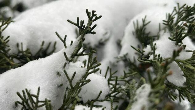 погода в Харькове в декабре