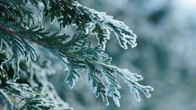 Яке свято 10 грудня 2025