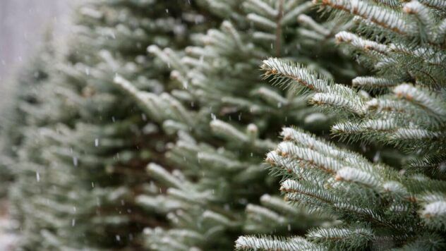 коли буде сніг в Хмельницькому