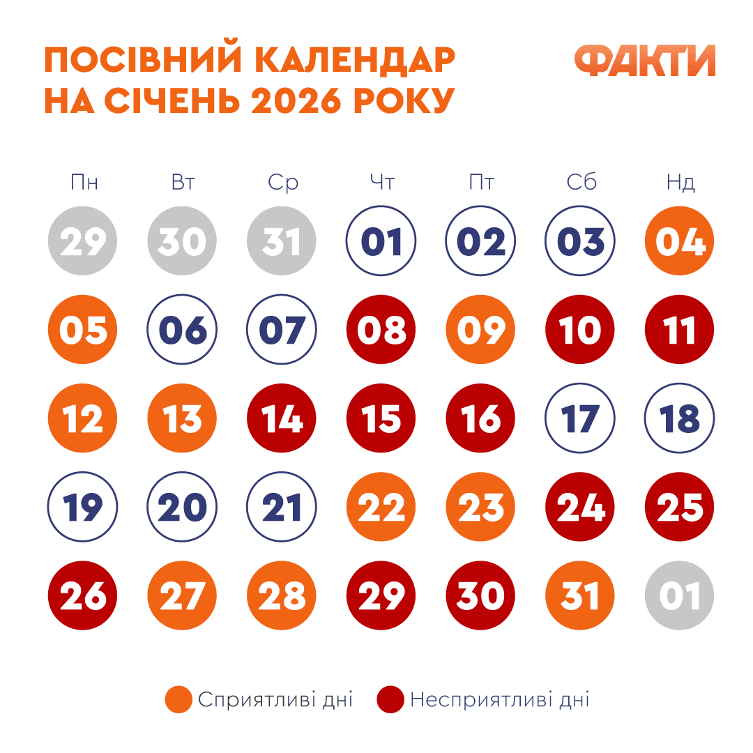Посівний календар на січень 2026: коли сіяти розсаду на початку року Фото 1 посівний календар 2026