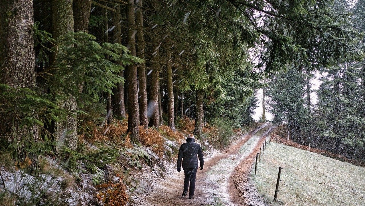 Погода в Україні на 9 днів: прогноз з 13.12.2025 по 21.12.2025 Фото 1