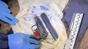 вбивство Парубія