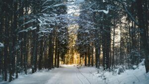 Яке свято 27 грудня 2025