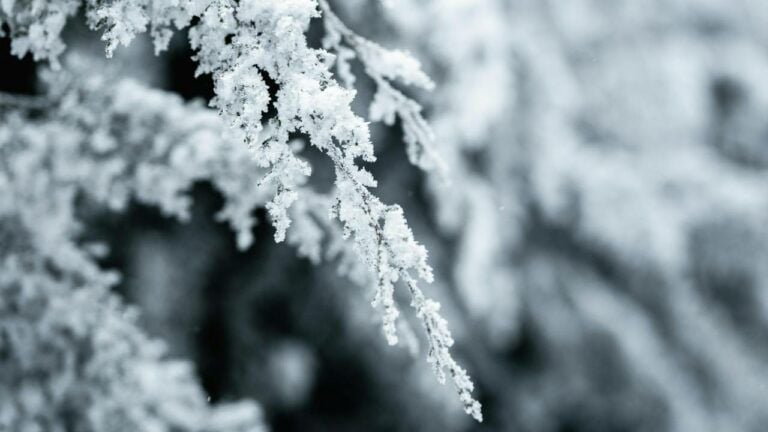 Яке свято 2 січня 2026