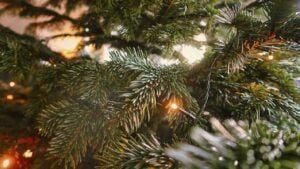 яке свято 29 грудня 2025