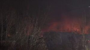 Єфремовський завод синтетичного каучуку