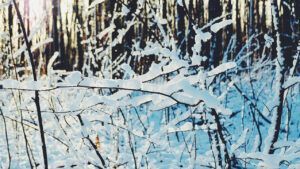 Погода на 26 грудня 2025 року в Україні та Києві – прогноз погоди на п'ятницю