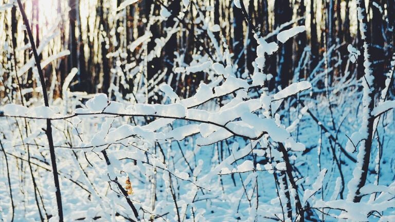 Погода на 26 грудня 2025 року в Україні та Києві