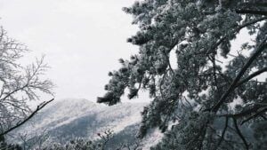 свято 30 грудня 2025