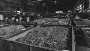 Як завод цвяхів залучає зумерів: кейс компанії Нейл Як компанія Нейл залучає зумерів – що відомо