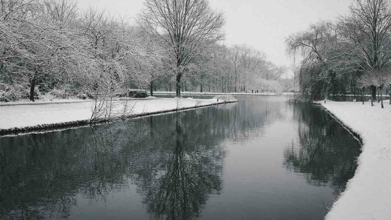 свято 6 січня 2026