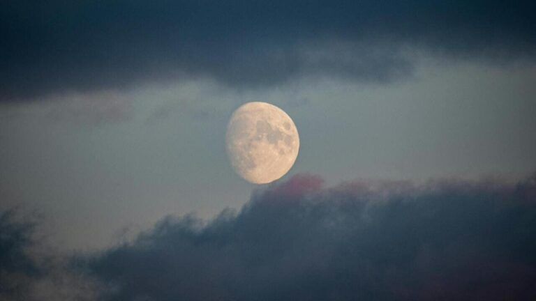 вовчий супермісяць 2026