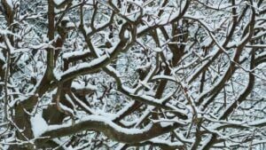 календар свят у лютому 2026