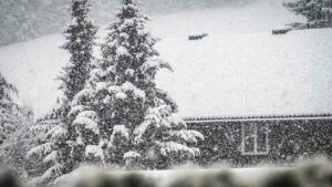 свято 10 січня