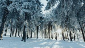 Яке свято 7 січня 2026