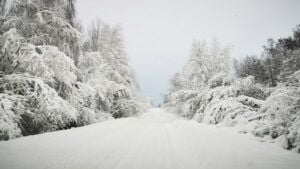 Погода у Києві та Київській області 8-9 січня: прогноз погоди на четвер і п'ятницю