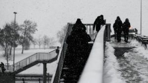 В Запорожской области ветер частично разрушил антидроновые туннели