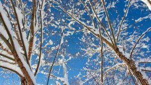 Яке свято 11 січня 2026