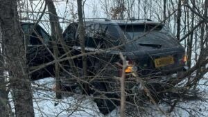 На Буковине во время попытки прорыва границы с Румунией травмирован пограничник