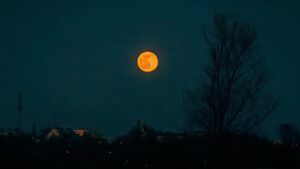 Коли буде повний місяць у лютому 2026