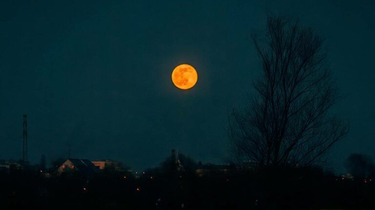 Коли буде повний місяць у лютому 2026