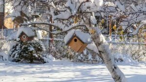 Яке свято 13 січня 2026