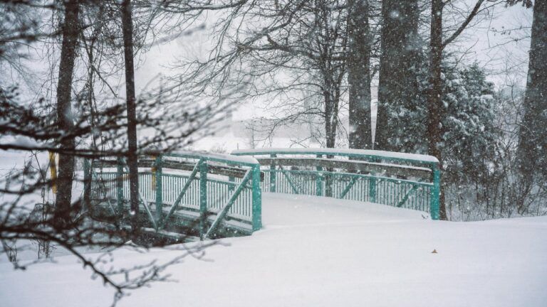 свято 20 січня 2026