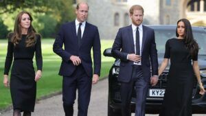 Кейт Міддлтон, принц Вільям, принц Гаррі, Меган Маркл