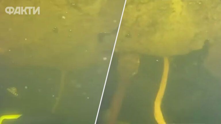 Спецоперація ДСНС у Києві: як рятувальники відновлювали роботу ТЕЦ під крижаною водою