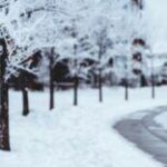 Какой праздник 23 января 2026: не изнуряйте себя диетами и токсичным общением