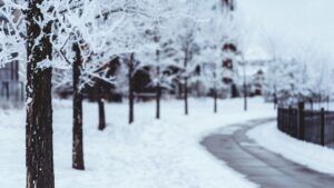 Яке свято 23 січня 2026