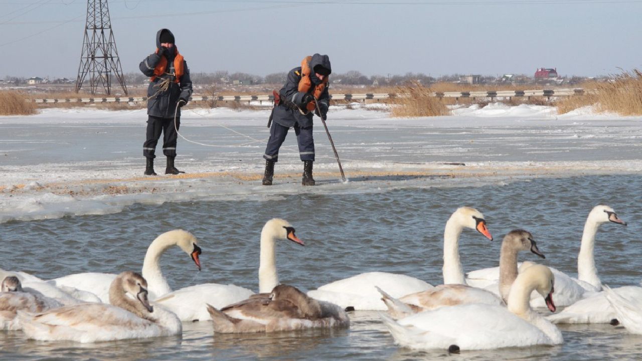 Мокрий сніг, дощ і ожеледиця: якою буде погода в Україні наприкінці січня Фото 2 озеро замерзло