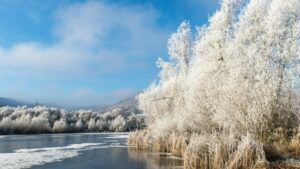 Яке свято 25 січня 2026