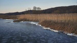 Какой праздник 26 января 2026 и кому сегодня улыбнется удача свято 26 січня