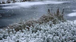 свято 30 січня 2026