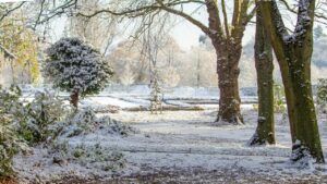 Яке свято 31 січня 2026