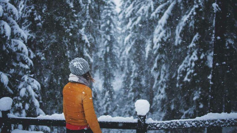 свято 7 лютого 2026