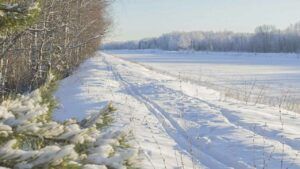 свято 13 лютого 2026