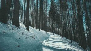 свято 15 лютого 2026