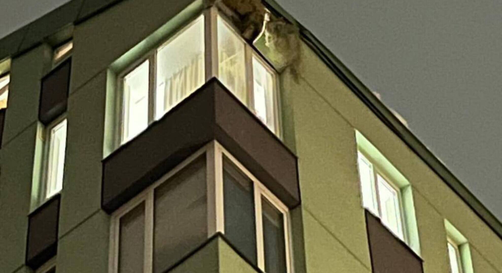 наслідки атаки на Київ 12 лютого наслідки атаки на Київ 12 лютого