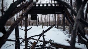 ВСУ с начала 2026 года вернули 460 кв. км территорий — Зеленский