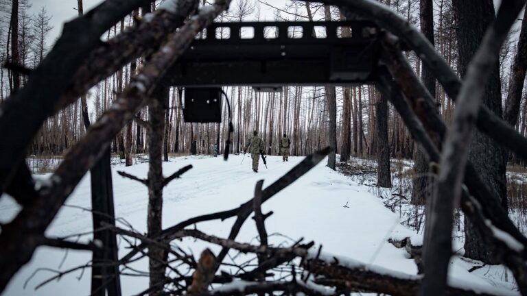 ВСУ с начала 2026 года вернули 460 кв. км территорий — Зеленский