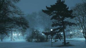 свято 21 лютого 2026