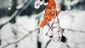 погода у Запоріжжі на березень
